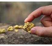 Vignal clarifies its conflict minerals policy